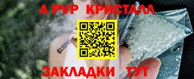 стаф Кинель