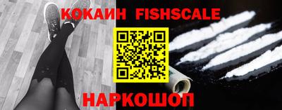 индика Кингисепп