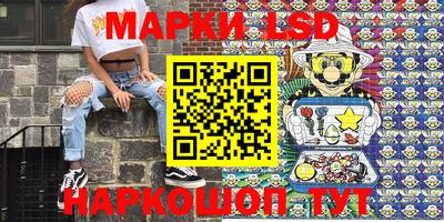 индика Кингисепп