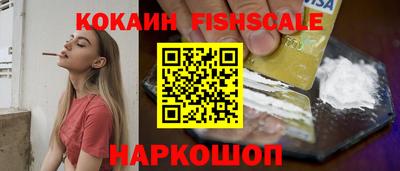 индика Кингисепп