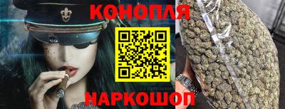 индика Кингисепп