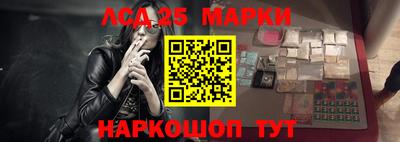 индика Кингисепп