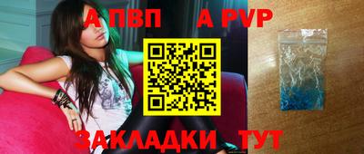 индика Кингисепп