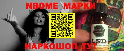 стаф Кинель