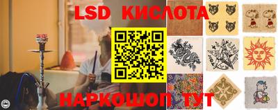 стаф Кинель