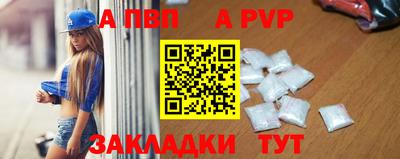 индика Кингисепп
