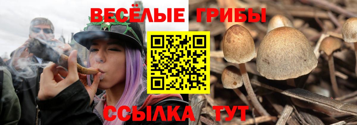 Галлюциногенные грибы MAGIC MUSHROOMS Киров